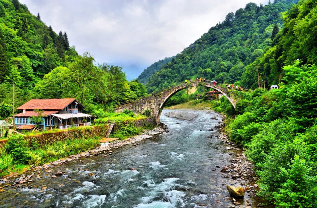 About The Rize City Heaven Tourism Travel Agency 2020