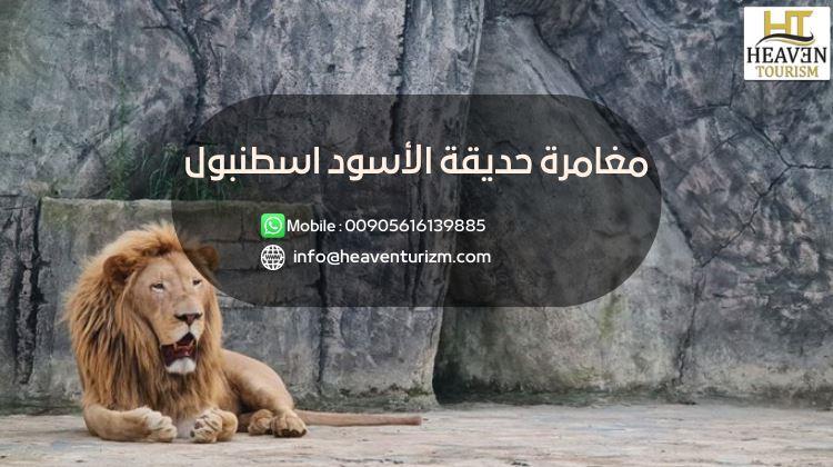 مغامرة حديقة الاسود اسطنبول 